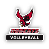 Roberts Volleyball Decal