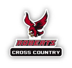 Roberts CROSS COUNTRY Decal - M16